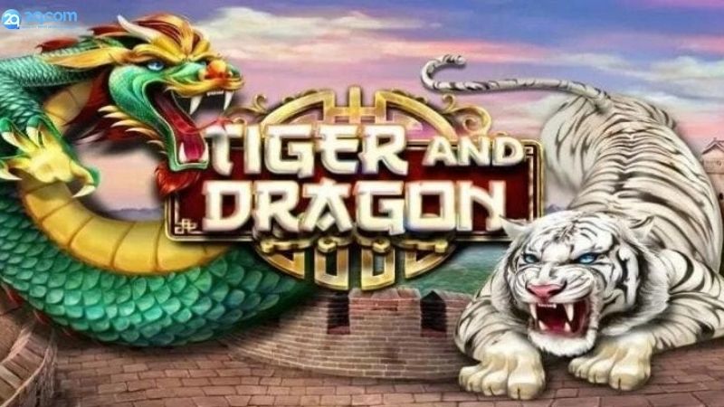 Mẹo Chơi Rồng Hổ Kiếm Tiền – Chia Sẻ Từ Cao Thủ 3 Mẹo Chơi Rồng Hổ Kiếm Tiền – Bí Quyết Chọn Kèo Không Bị Gạt